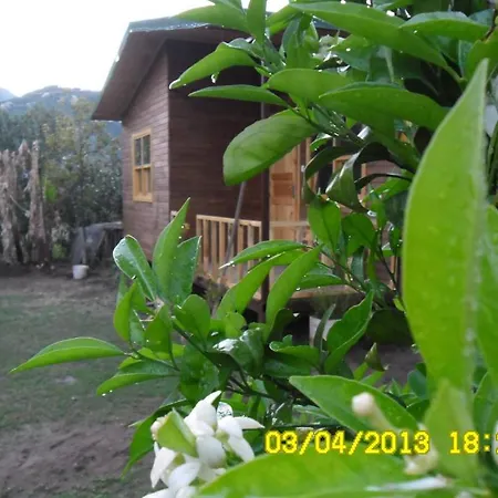 Cesur Pansiyon 2* Cirali
