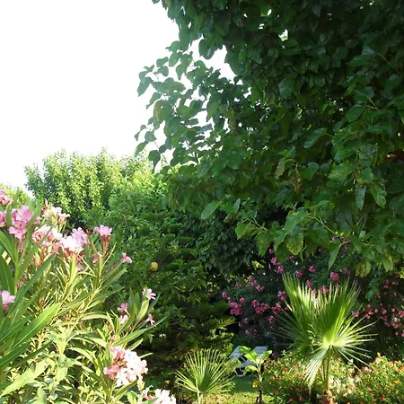 Cesur Pansiyon Guest house Cirali