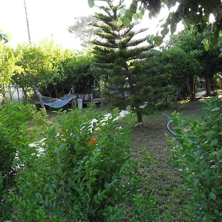 Guest house Cesur Pansiyon Cirali