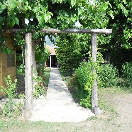 Guest house Cesur Pansiyon 2*