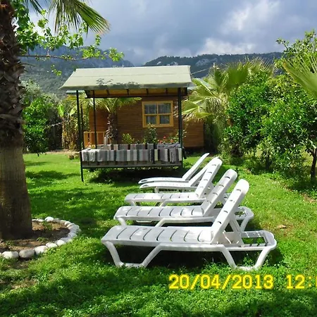 Cesur Pansiyon 2*