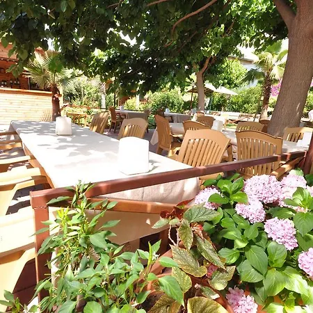 Guest house Cesur Pansiyon 2*
