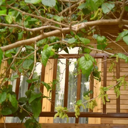 Guest house Cesur Pansiyon Cirali