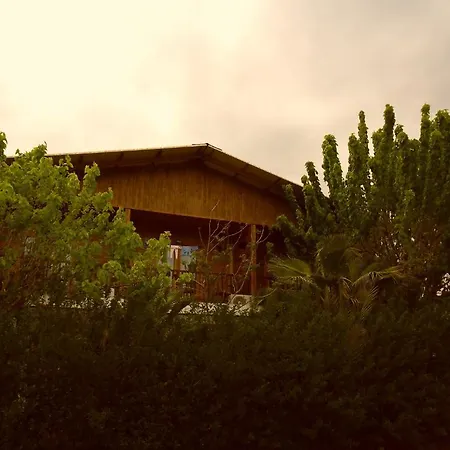 Cesur Pansiyon Guest house Cirali