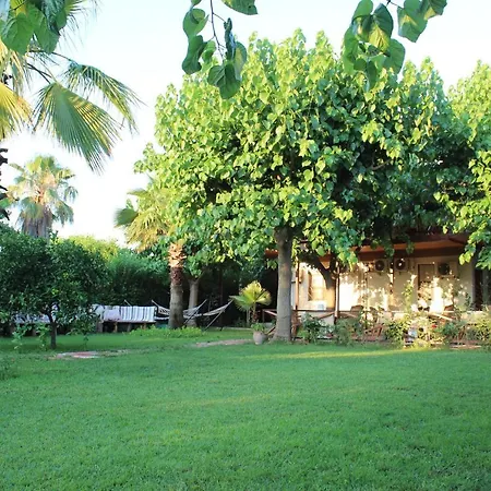 Cesur Pansiyon Guest house 2*